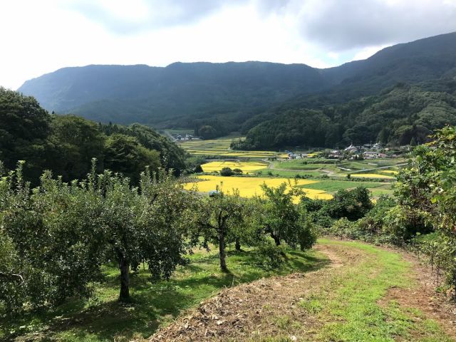 丘の上から