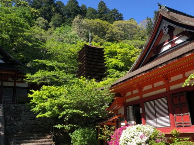13 談山神社 本物の装束を着て本物蹴鞠 けまり 体験 装束姿で境内自由に撮影ok 談山神社 じゃらん遊び体験 13 談山神社 本物の装束を着て本物蹴鞠 けまり 体験 装束姿で境内自由に撮影ok 談山神社 じゃらん遊び体験