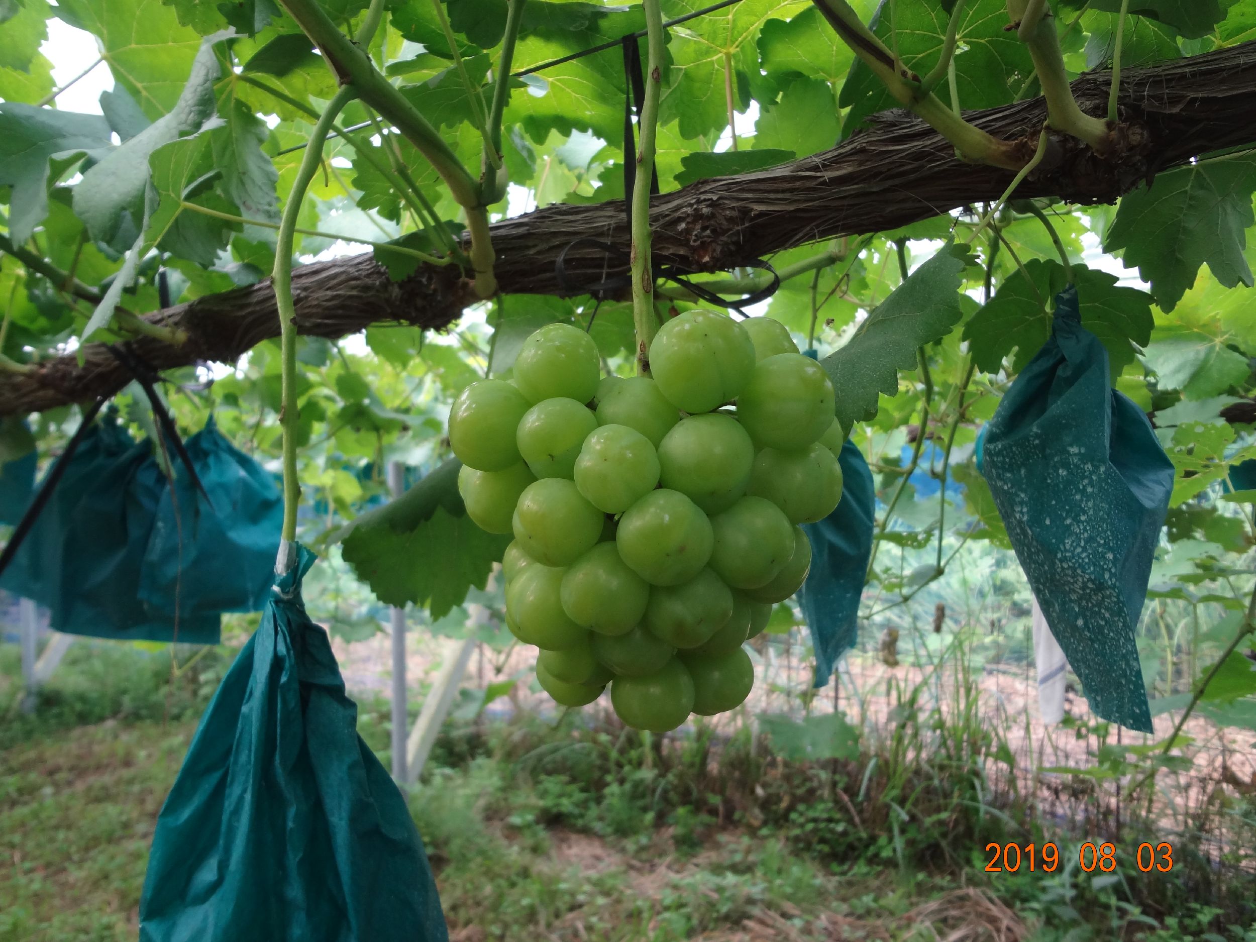 ぜひ一度ご賞味ください♪