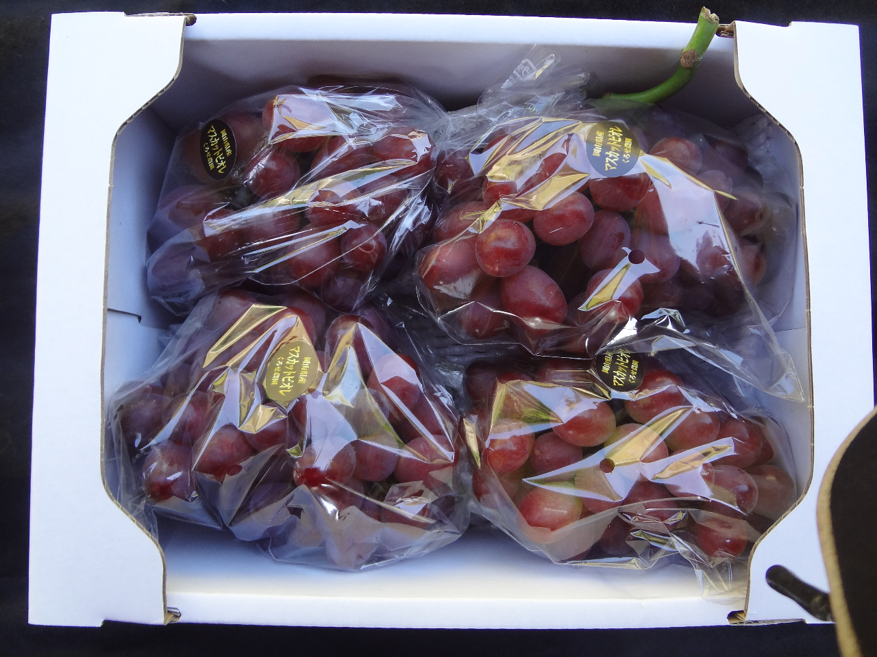 �i���p�̕��ŏo�ה��ɋl�߂��󋵂ł��B