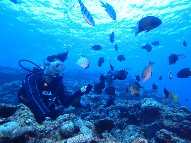 �x�e�����_�C�o�[���T�|�[�g�����Ē����̂ň��S���Ċy���߂܂���