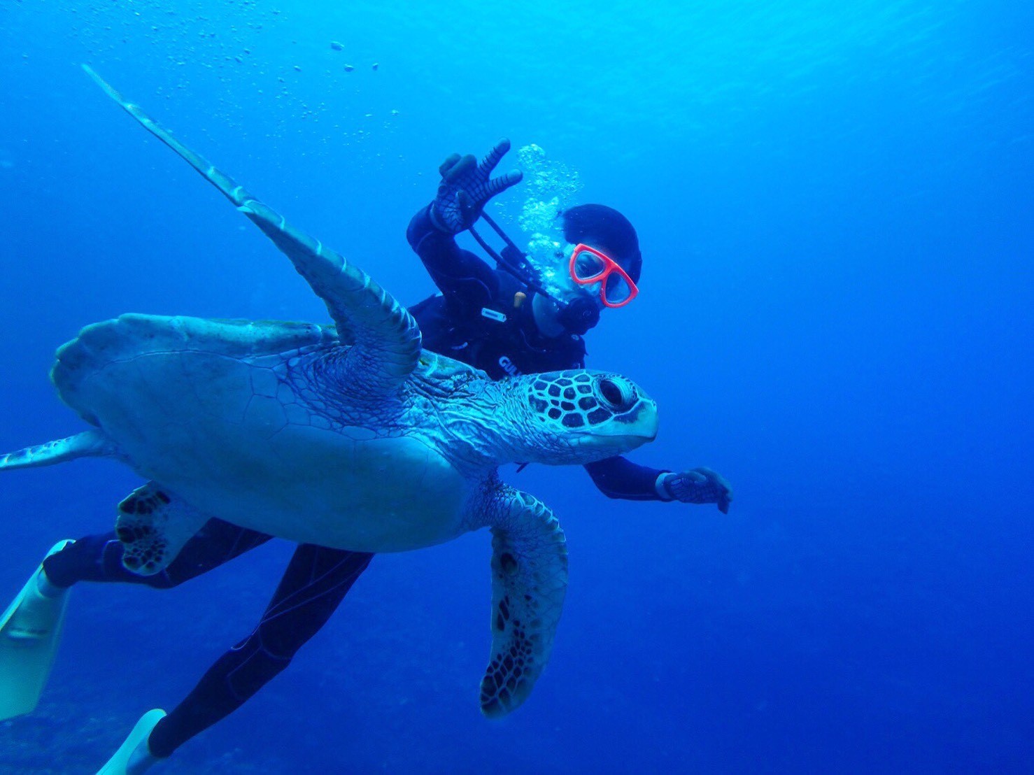 �^���ǂ���΃E�~�K���Ƒ����ł��邩���I�H