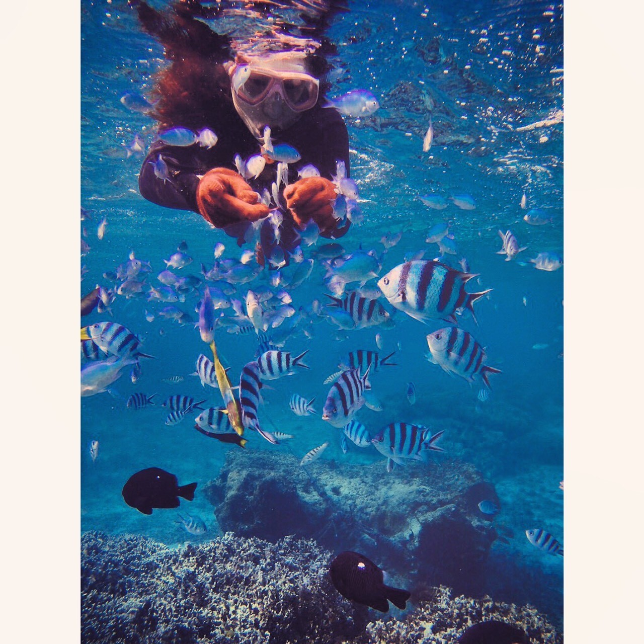 �����ɉa�t���̌��ł��܂���