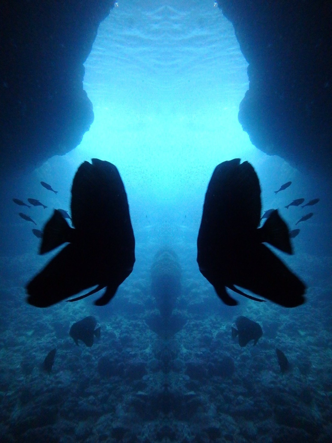 �c�o���E�I