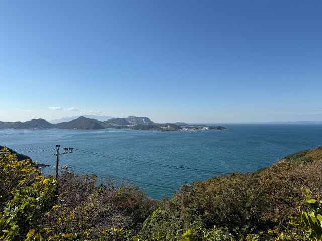 島ならではの景色を楽しむこともできます