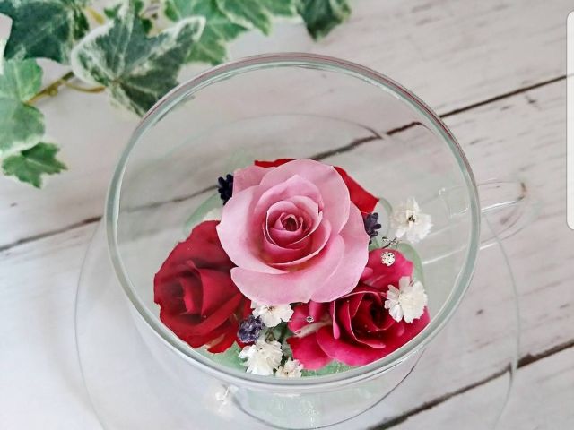 ボトルフラワー レッスン かわいいお花で生活に彩りを 初めての方でもどうぞ 女性におすすめ Flower笑顔 広畑教室 じゃらん遊び体験 ボトルフラワー レッスン かわいいお花で生活に彩りを 初めての方でもどうぞ 女性におすすめ Flower笑顔 広畑教室 じゃらん遊び体験