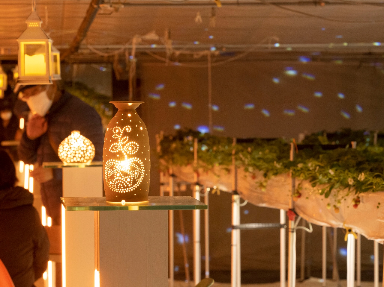 ���z���ɂȂ����F���܂ɁA�����ʂȂ����ԂƂ������̂���������񋟂ł��܂��悤�X�^�b�t�ꓯ�w�߂Ă���܂��B