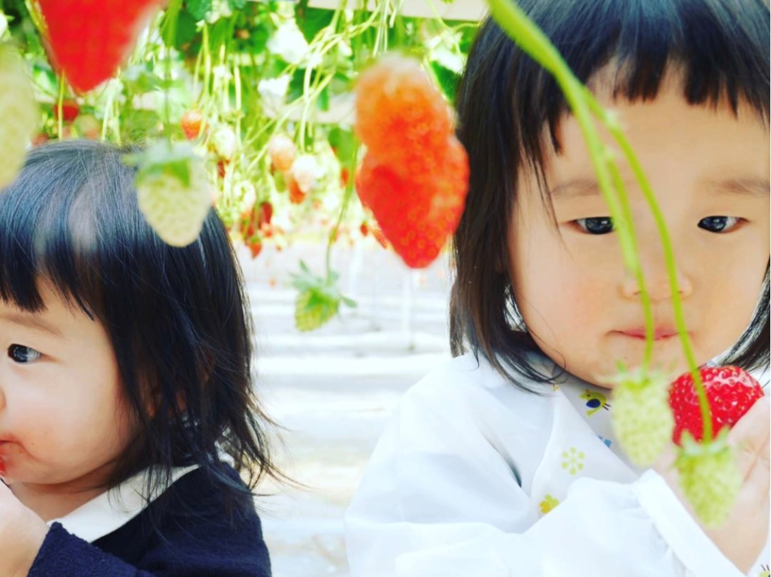 ւ̂ق܂Ő^ԂȂ͓ɖ̂Ă邽߂߁