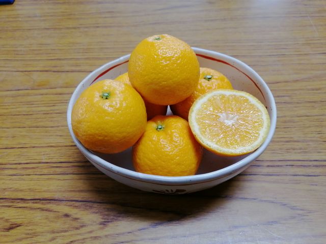 生産量が少ない希少みかん 花良治 ケラジ みかん 収穫体験 喜界島発祥の香りかんきつ 独特で爽やかな香りと甘さが特徴的 メリーガーデン じゃらん遊び体験 生産量が少ない希少みかん 花良治 ケラジ みかん 収穫体験 喜界島発祥の香りかんきつ 独特で爽やかな香りと甘さが特徴的 メリーガーデン じゃらん遊び体験