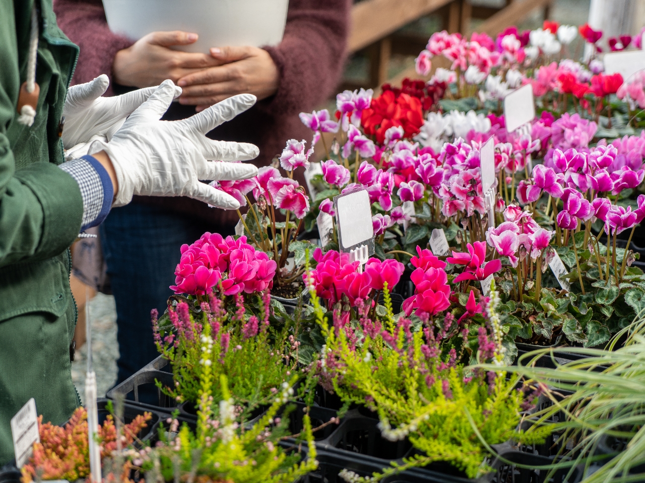 CƂȂAI񂾂AɐAޗIсI