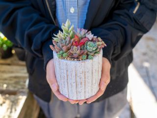 いざやってみると意外に難しい多肉の寄せ植え。初心者の方でも上手にできるようアドバイスいたします。