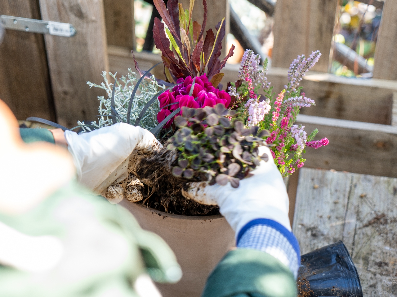 A񂹐AɃ`WIIÃRcȂǃN`[܂B