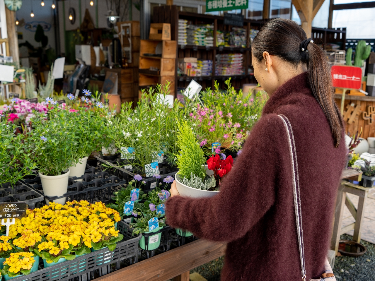 ȂɐA납BBBvI܂߂ăAhoCX܂I