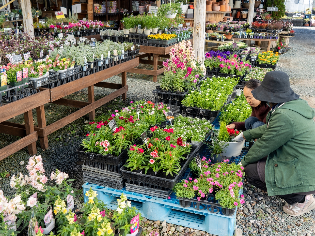 ܂̓CƂȂޗIтIDȂԂFőIOKI