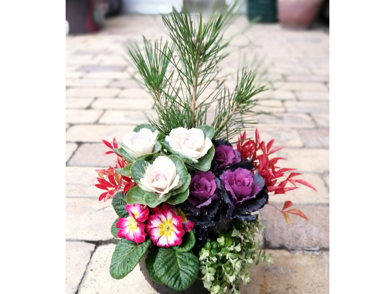 ]΂p̊񂹐Aɂł܂Bޗ̍݌ɂɌ肪܂̂ŁA\񎞂ɂ₢킹B