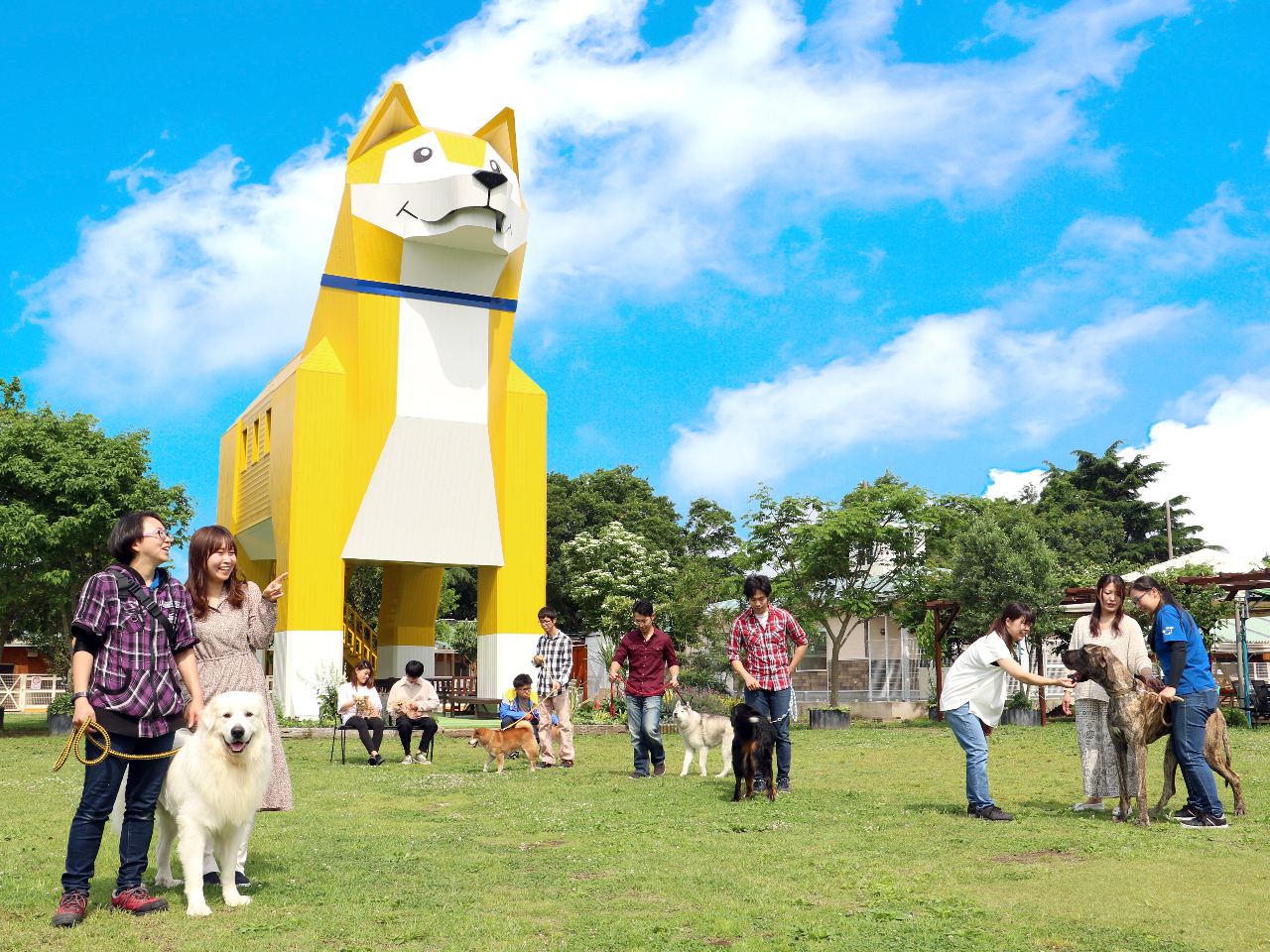 犬園 GW期間（4/26～29）前売りチケット】90種500頭の犬や猫が暮らす