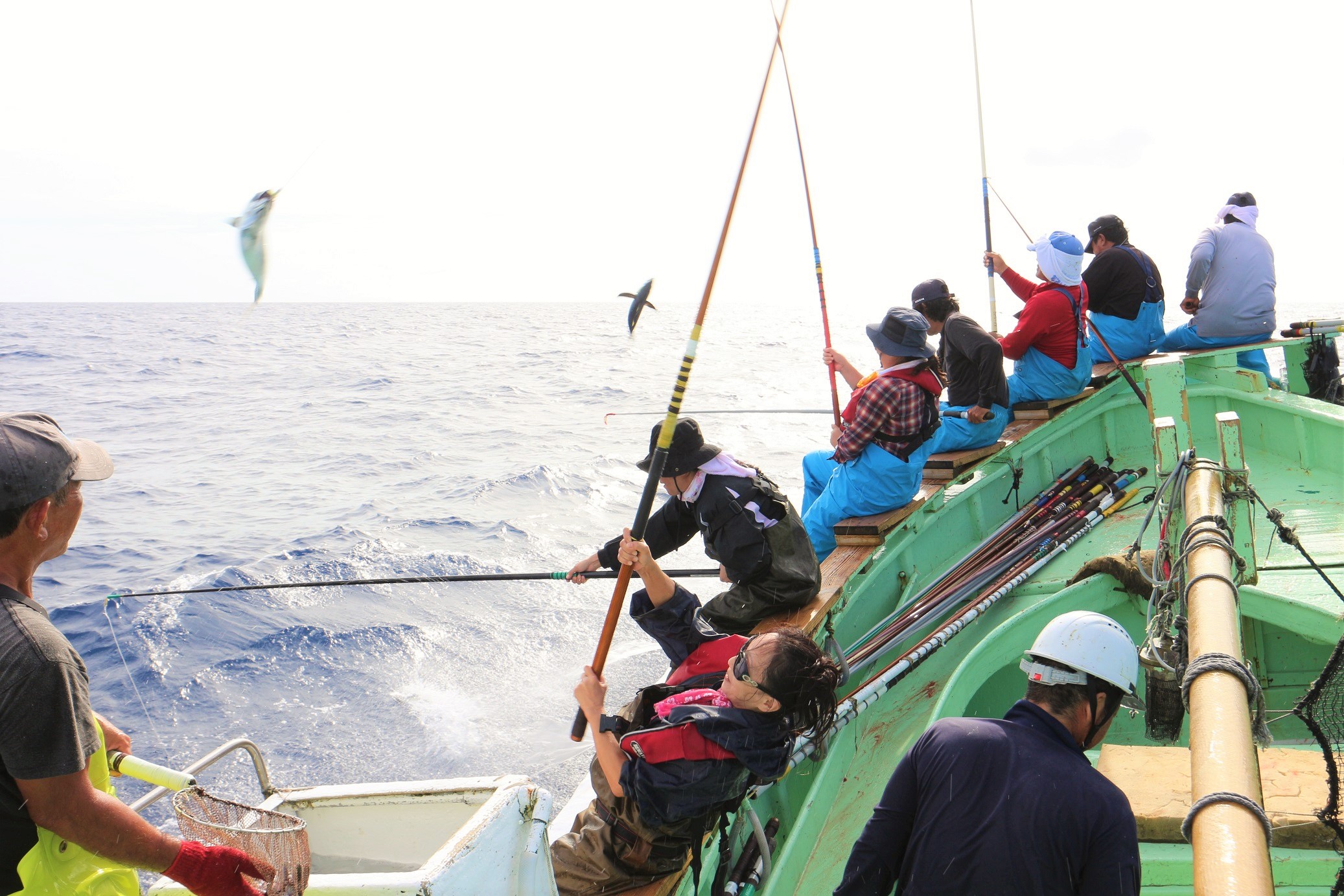 EsȃJcI{ނI@ЂƂƂۂł́Atɒq肷悤ɃJcI{ނ苙Dɏ荞ށA}Wȑ̌cA[ÍsĂ܂I