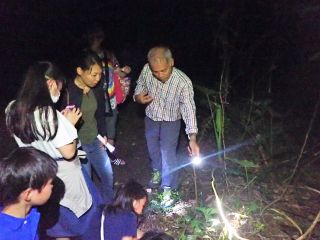 ガイドが夜の森を案内し、出会った生き物や亜熱帯の森の話をする散歩です。