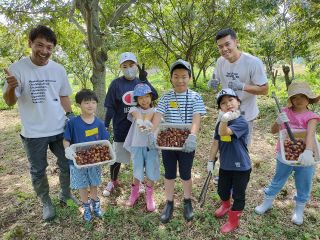大きな栗がたくさん拾えます!