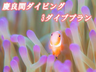 慶良間3ダイブプラン!