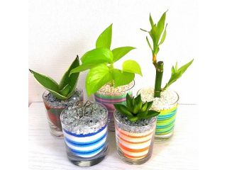 カラーサンド体験!