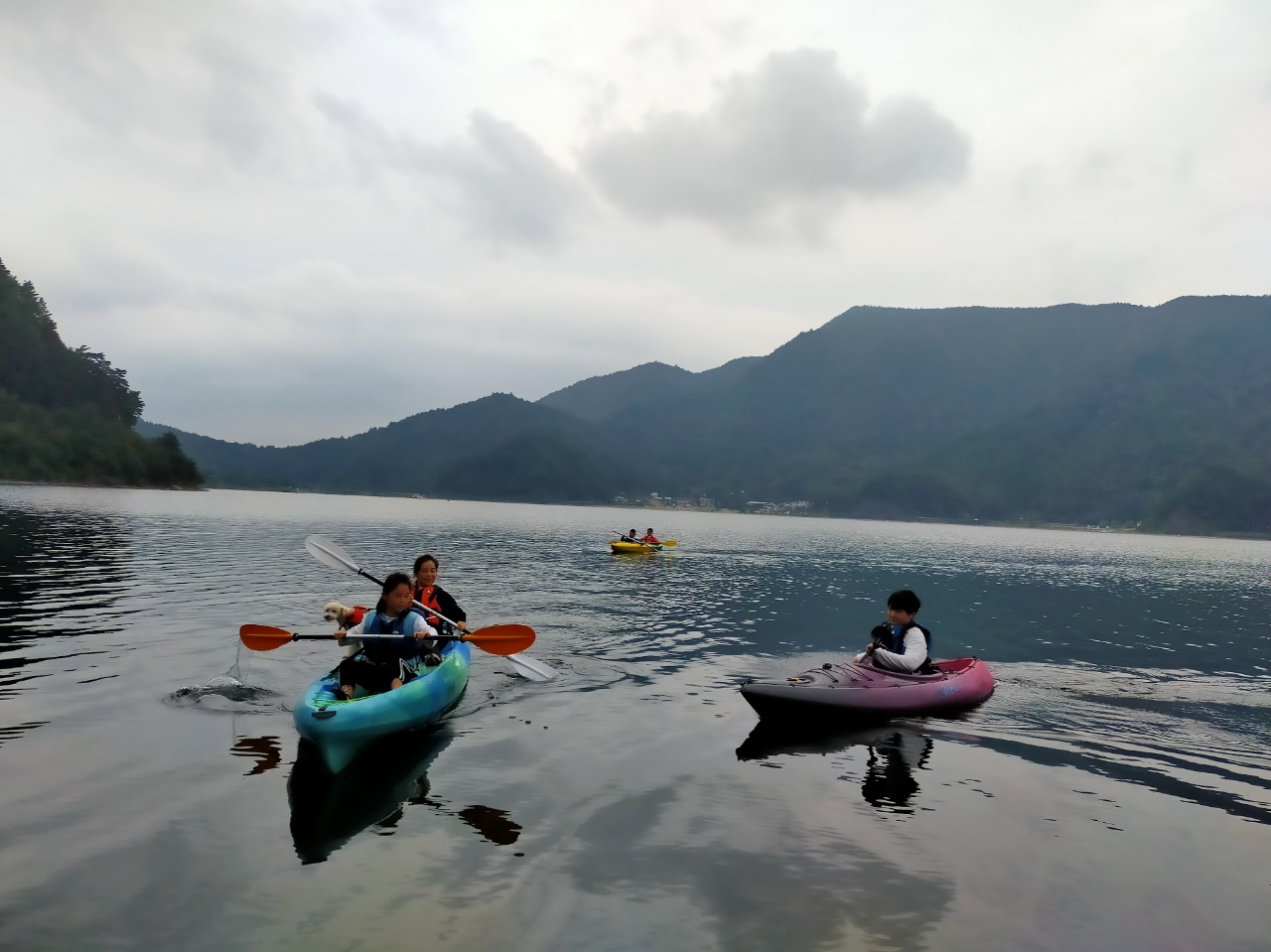 ワンちゃんも一緒にクルージング!