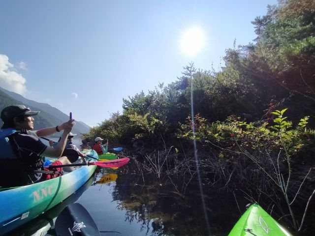 森に向かってスマホを。。。早朝は動物が出やすい時間帯です。