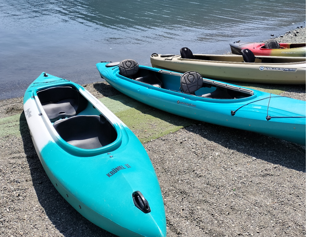 gpJbN͈芴Q̃fƂȂ܂