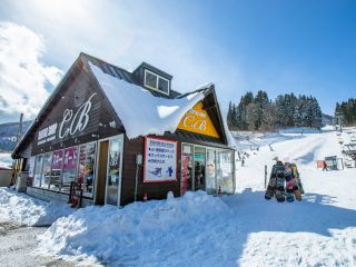 北 スキー 場 高原 ハチ