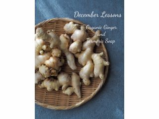 四万十オーガニックジンジャーとターメリックの石けん