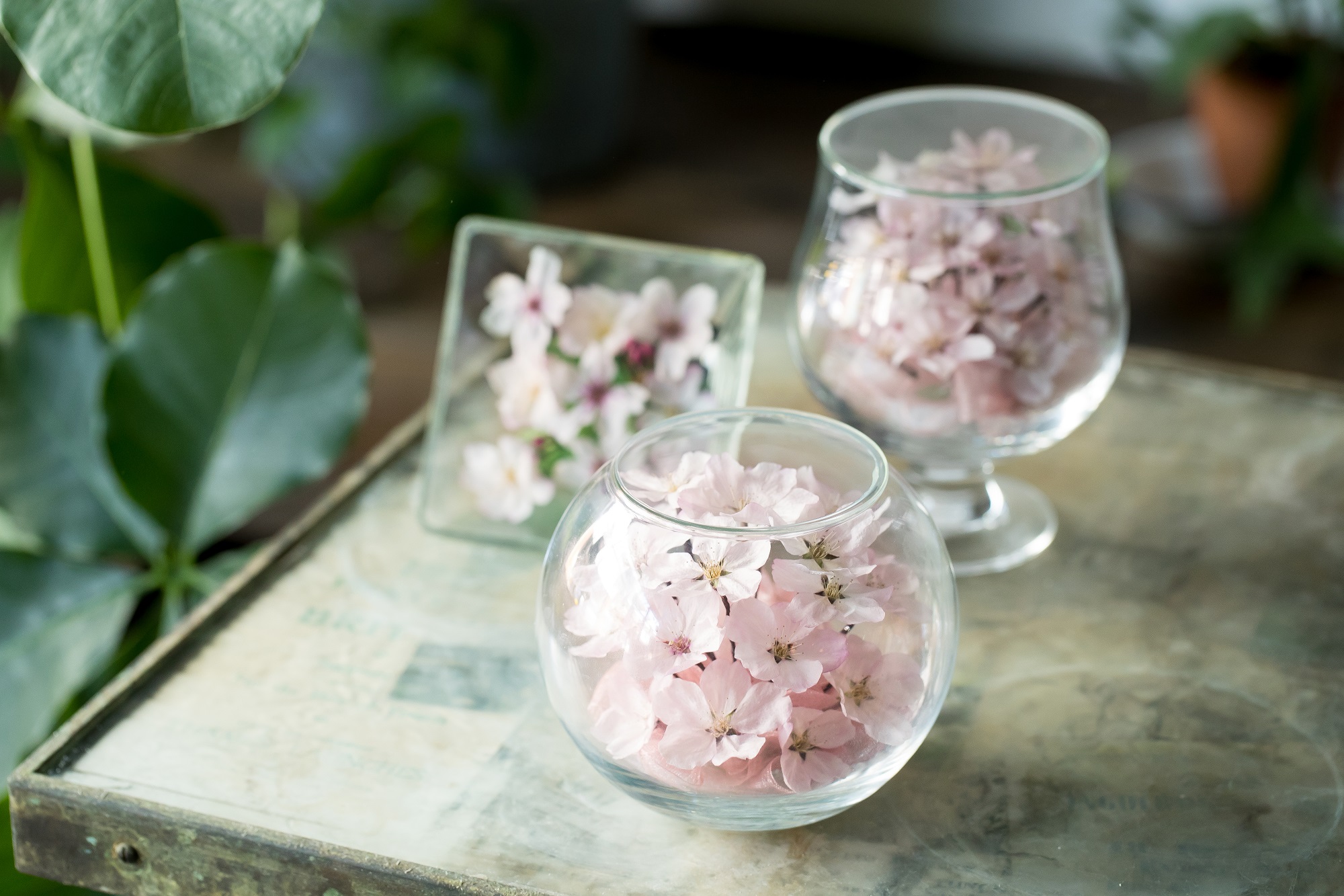 ボトルフラワー体験 初心者歓迎 手ぶらでok 当日持ち帰りok 女性におすすめ 日本ボトルフラワー協会本部校 じゃらん遊び体験