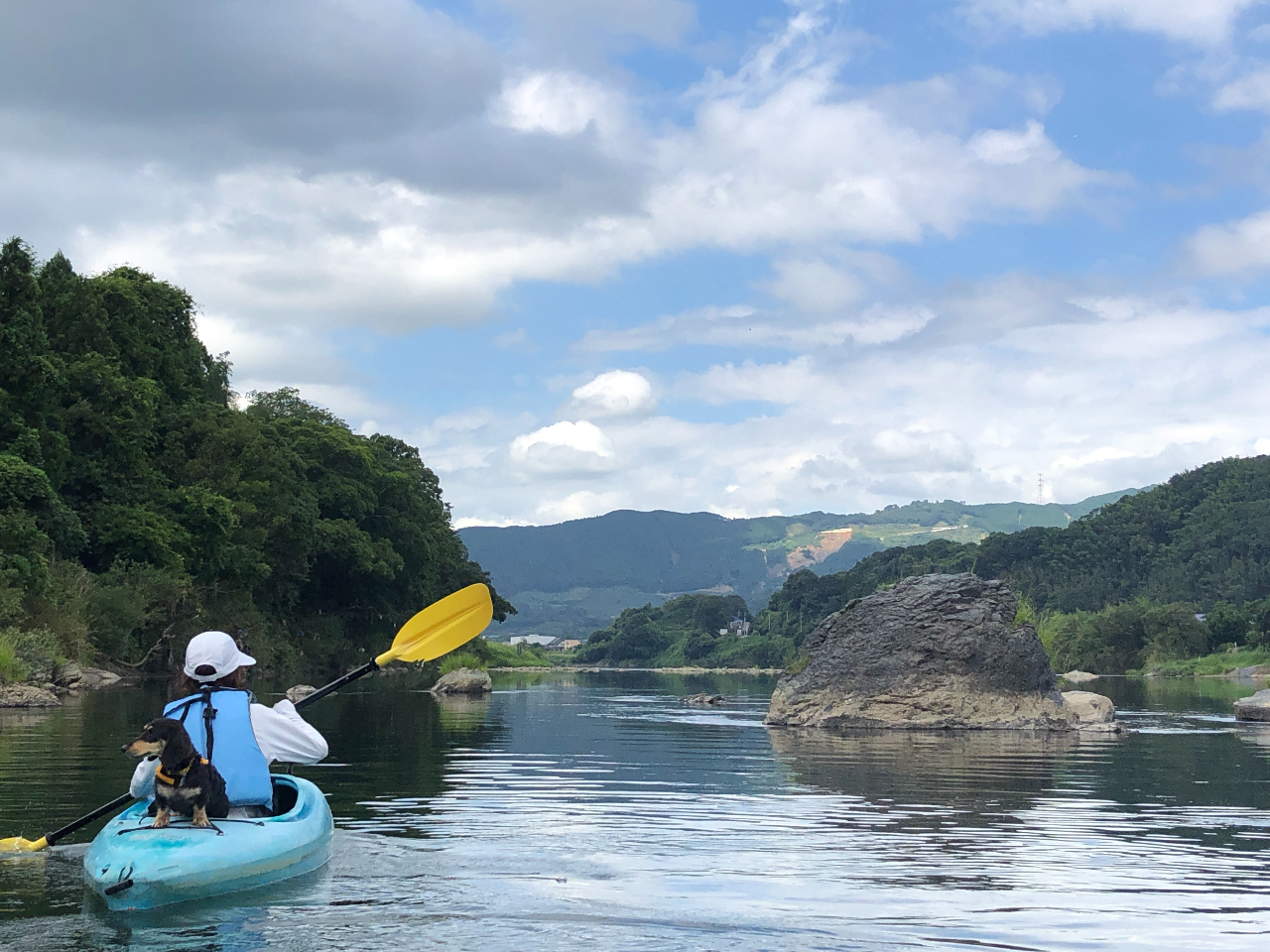 Ƒ̃ybgƈꏏɗVׂ܂I