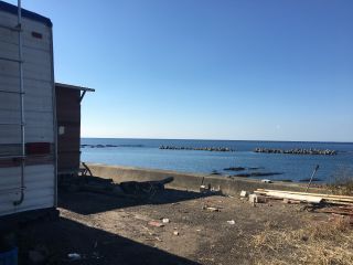 海正面の整地スペースです