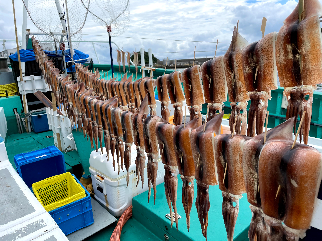 フラッシャーサビキ沖五目(黒ムツ)~ヤリイカ(スルメイカ)