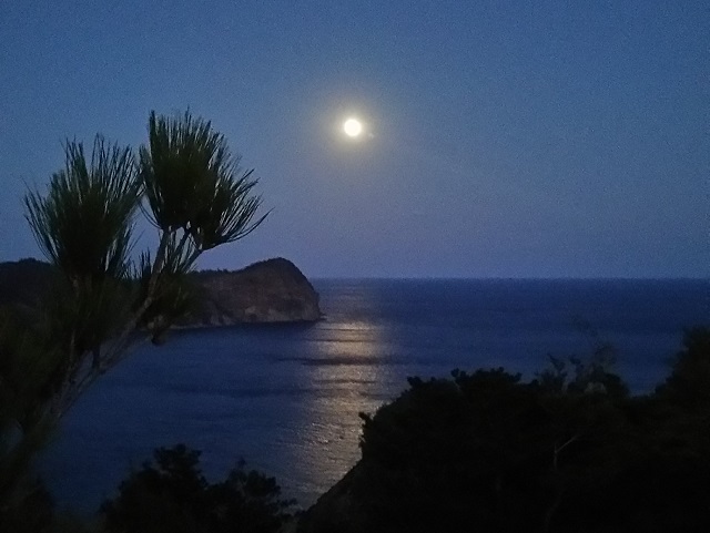 その日ベストな場所に誘います!!