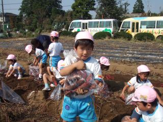 大収穫!このくらいの量で3kg程です