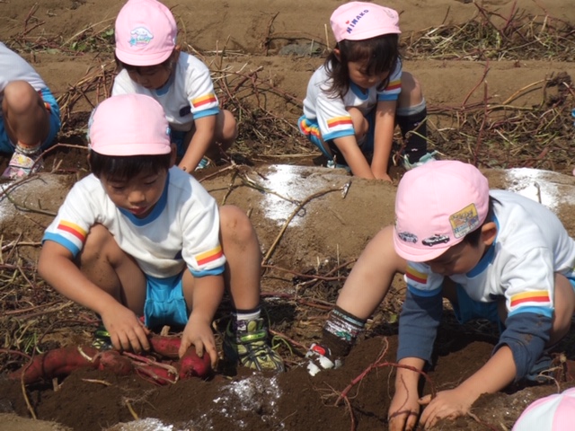 お子様でも掘りやすくしてあります♪