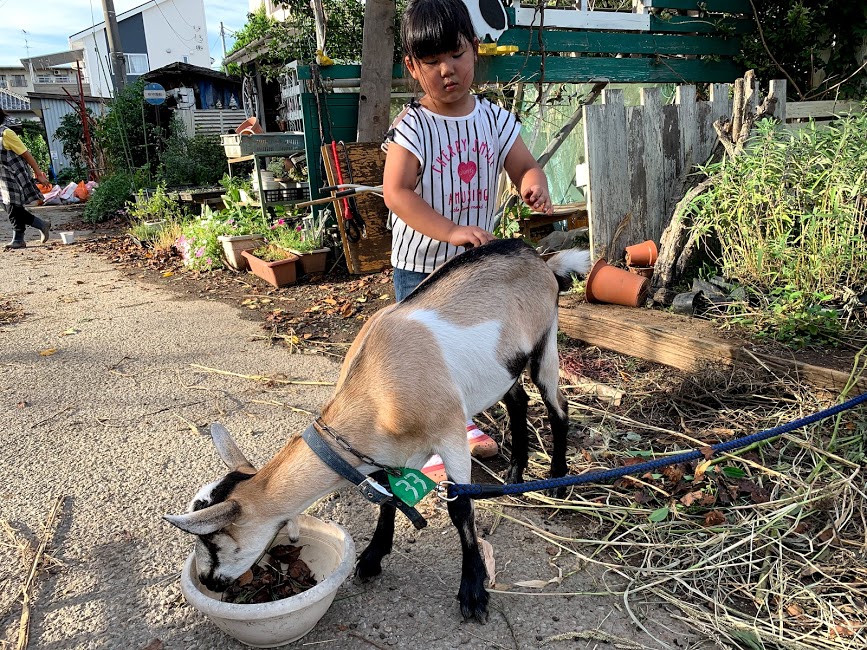 ŔM̃ł􃂃͊ÂVł