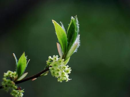 ܂A܂͍炵ĂnɈAɖڂǍb݂󂵂Ă߂ɖ{Iȁuv̎_wׂułBʐ^̓NW