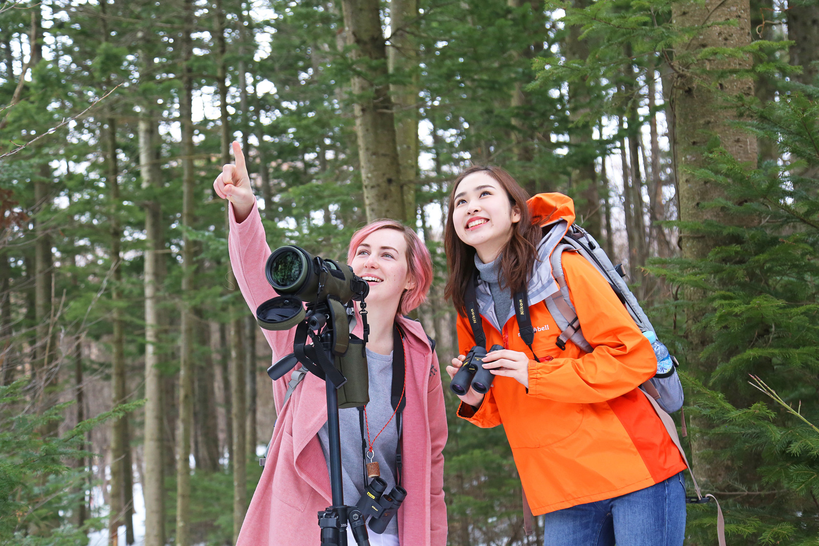 【北海道・オホーツク】バードウォッチングツアー【初心者向けコース】