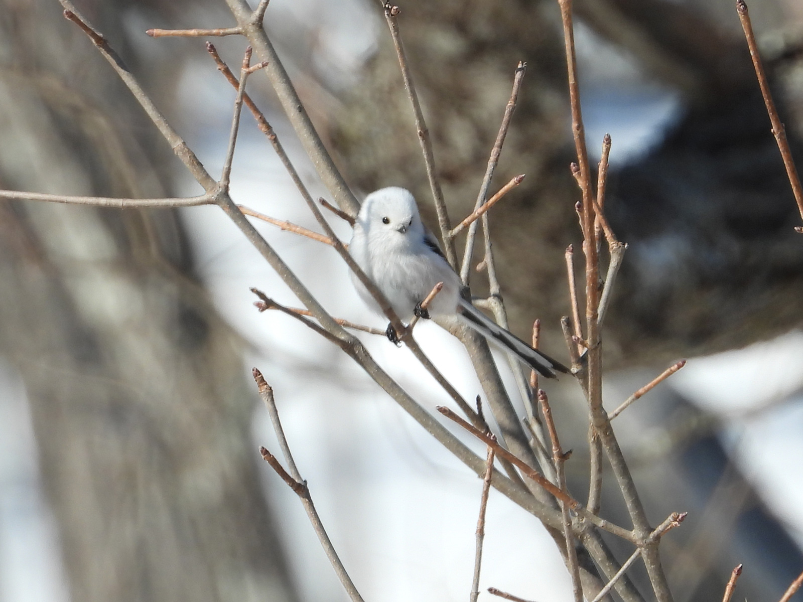 �V�}�G�i�K