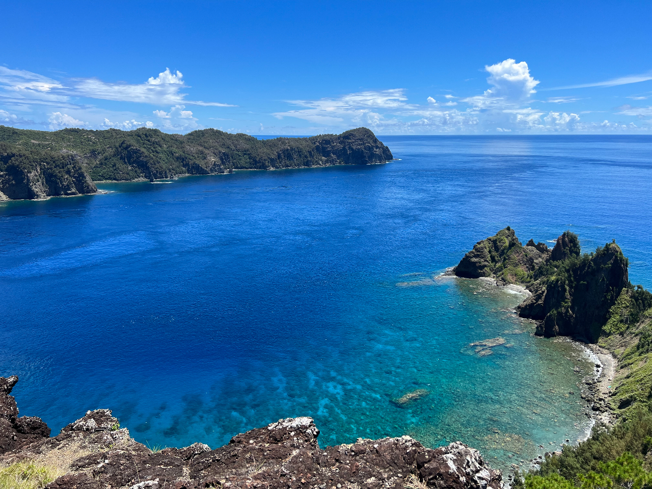 ׂɌZ]߂钷W]͐̔ZW܂܂B