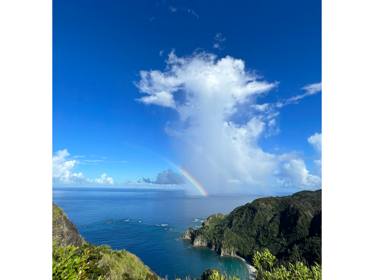 QYW]A肷̂ȂW]̑ɂ͔l̏QY܂B