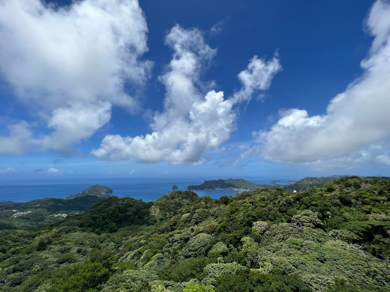 IvViōsRW]̖͂̒ʂقړ̒ɂ蕃ňԍɂW]łBW]n܂ł͎ԂKi܂߂300MقǕ܂B