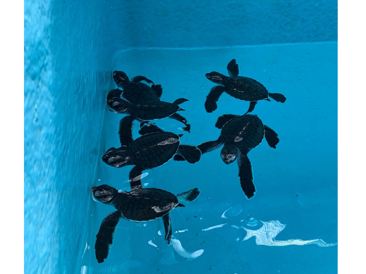 ό{݂̊CmZ^[ł͎ɂ荡N܂ꂽ΂̉qKɍo܂BI