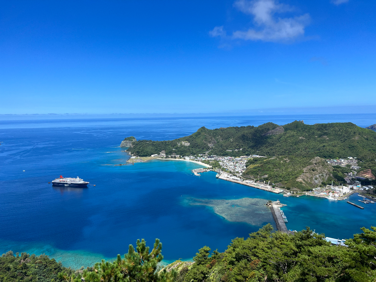 񌩘p̓ɊC̔ZWN₩ȈRR