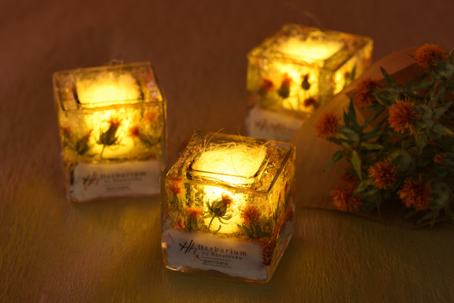 LEDLhtȂ̂ňSSIʏ̃Lhgp\łB