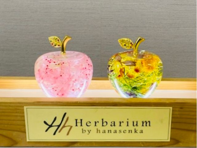 お花屋さんが作る当店オリジナルブランド【Herbarium by hanasenka】