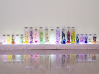 300 種類以上の材料を使って世界にひとつあなただけのハーバリウムを作りましょう!