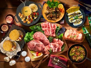 マッキンリープラン